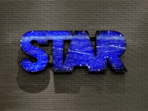 star (2008)